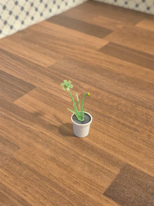 Lundby  blomst