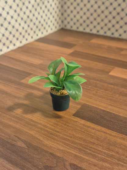 Plante