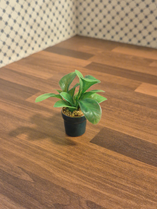 Plante