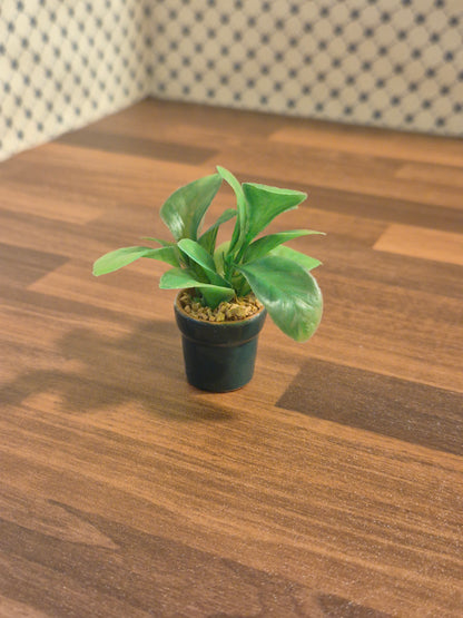Plante