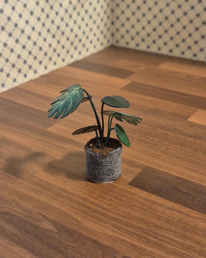 Plante