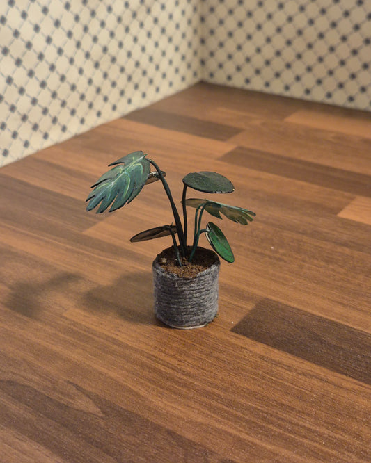 Plante