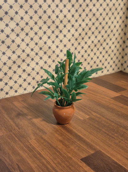Plante