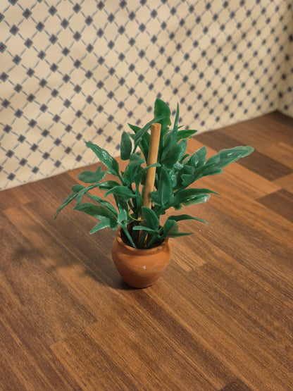 Plante