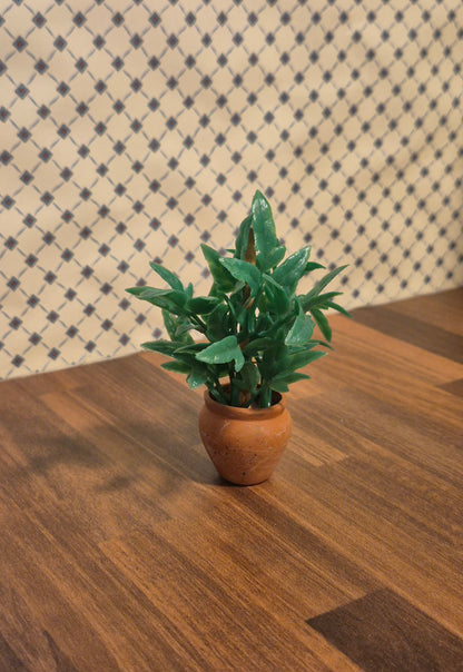 Plante