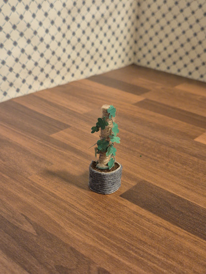 Slyngplante