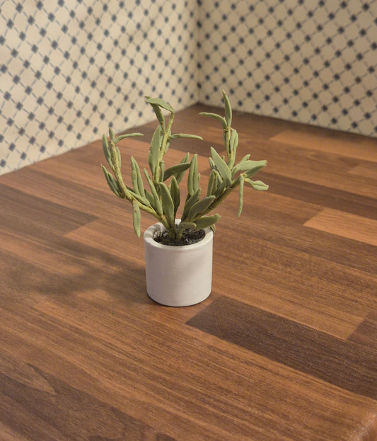 Lundby  plante
