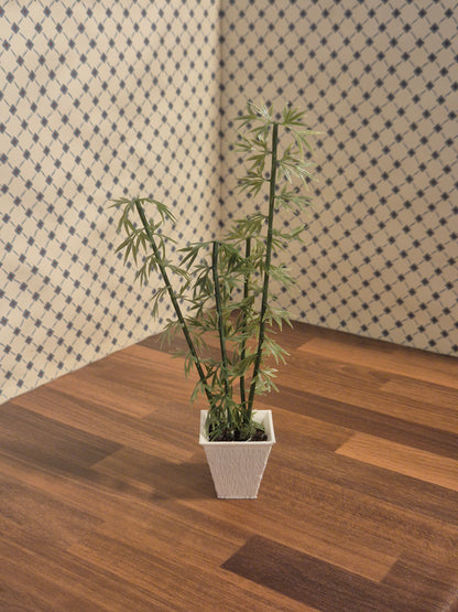 Plante