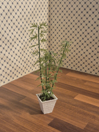Plante