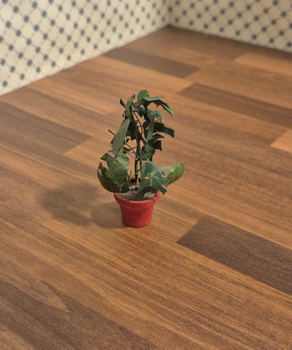 Plante